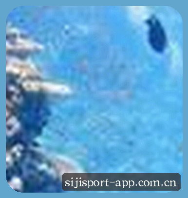 张涛